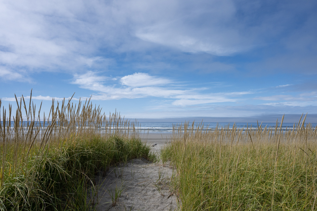 A sandy path winding between tall dune grasses toward ocean waves beneath a blue sky.