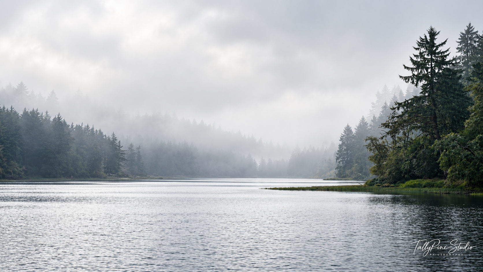 Mist drifting over a quiet lake bordered by evergreen trees, photographed by Jon Reinhart.